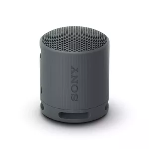 Sony SRS-XB100 - Wireless Bluetooth Portable Speaker, Durable IP67 Waterproof & Dustproof, 16 Hour Battery, Eco, Outdoor and Travel in Black