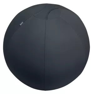 Leitz Active Sitzball 55cm Серый Для помещений Сферический