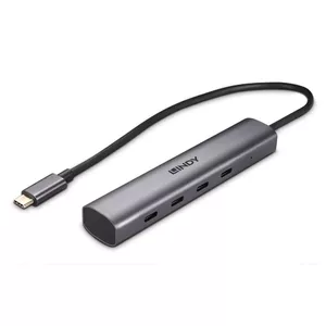 Lindy 43384 хаб-разветвитель USB Type-C 10000 Мбит/с Серый