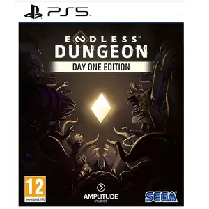 Игра PS5 ENDLESS Dungeon LE