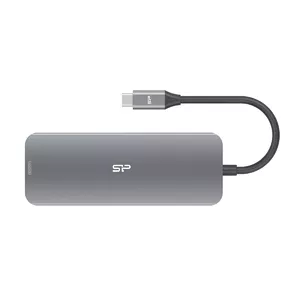 Silicon Power SR30 Док-разъём USB 3.2 Gen 1 (3.1 Gen 1) Type-C Серый, Металлический