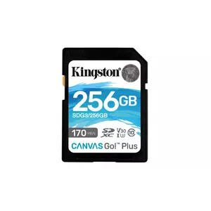 Kingston Technology Canvas Go! Plus 256 GB SD UHS-I Класс 10
