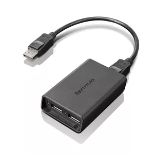 Lenovo DisplayPort to Dual-DisplayPort Monitor Cable USB A Melns