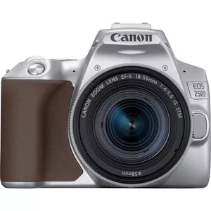 Canon EOS 250D + EF-S 18-55mm f/4-5.6 IS STM Однообъективный зеркальный фотоаппарат с объективом 24,1 MP CMOS 6000 x 4000 пикселей Серебристый