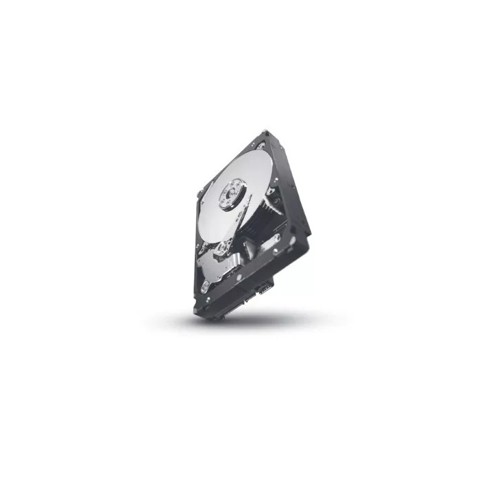 SEAGATE ST31000424SS-RFB Photo 1