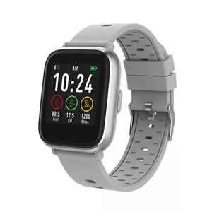 Denver SW-161GREY smartwatch / sport watch 3,3 cm (1.3") IPS Цифровой Сенсорный экран Серебристый