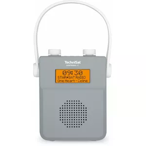 TechniSat Digitradio 30 Портативный Цифровой Серый