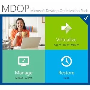 Microsoft Desktop Optimization Pack for Software Assurance Microsoft Volume License (MVL) 1 лицензия(и) Мультиязычный 1 мес