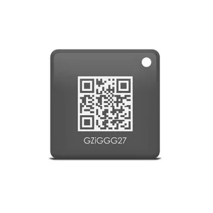 iGET M3P22 RFID-метка Серый