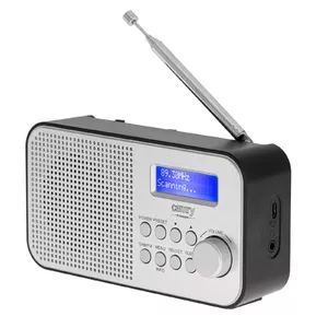 Camry Premium CR 1179 радиоприемник Портативный Аналоговый и цифровой Черный, Серебристый