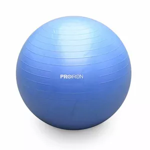 PROIRON PRO-YJ01-7 фитбол 55 cm Синий Полноразмерный