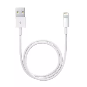 Apple Lightning / USB 0,5 m Белый