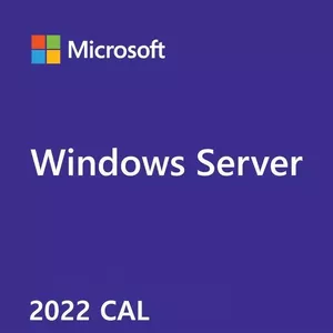 Microsoft Windows Server CAL 2022 Лицензия клиентского доступа (CAL) 1 лицензия(и)