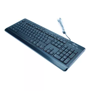 MediaRange MROS102 клавиатура USB QWERTZ Английский Черный