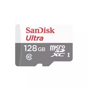 ATMIŅA MICRO SDXC 256GB UHS-I/SDSQUNR-256G-GN3MN SANDISK
