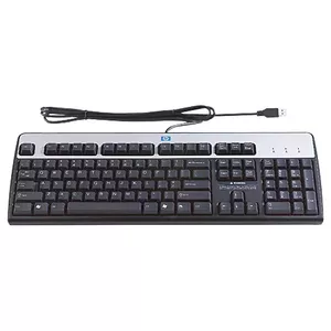 HP USB Standard Keyboard tastatūra QWERTY Dāņu Melns, Sudrabs