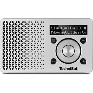 TechniSat DigitRadio 1 Портативный Цифровой Серебристый