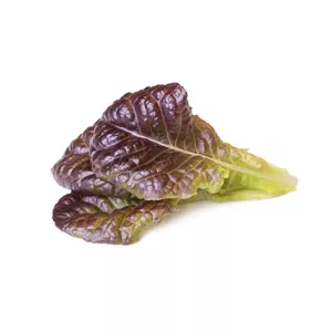 Click & Grow SGR84x3 3 шт Red lettuce Стартовый комплект